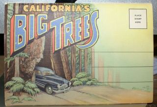 Vintage Fold Out Post Cards,  California’s Big Trees 18 Images In Folder