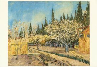 Vintage Art Postcard 1992 Vincent Van Gogh A4123 Orchard Surrounded By Cypresses
