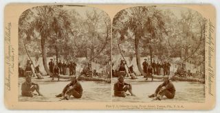 Spanish American War Camp Tampa 1st U S Infantry Picnic Island Stereoview 21552