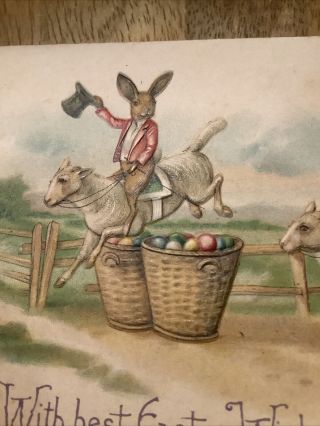 Vintage Easter Postcard Humanized Fantasy Bunny Rabbits Riding Sheep