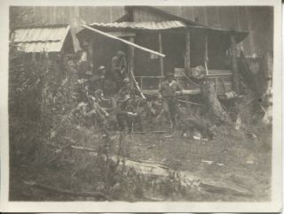Snapshot Photo C.  1914 Hunters With Rifles & Dog Playing Everett Washington