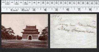 China Beijing Western Qing Tombs - orig photo ≈ 1906 2