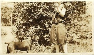 C1920 Same Pit Bull Terrier ? In 2 Vintage Dog Photographs Friends With Treats