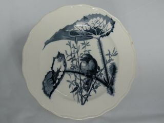 Brown,  Westhead,  Moore And Depose Copyright Canova Plate,  9 1/4” Wide,  Antique