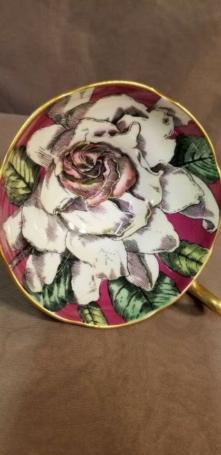 Taylor & Kent Large Cabbage Rose Teacup And Saucer - England
