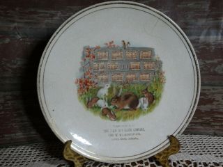 1911 Calendar Plate Compliments Of Stein Dry Goods Co.  South Bend,  In Rabbits 8 "