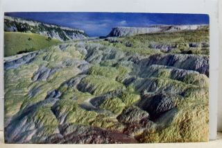 Wyoming Wy Yellowstone National Park Mammoth Hot Springs Terraces Postcard Old