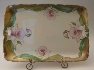 Antique P T Bavaria Hand Painted,  Signed Art Nouveau Vanity Tray Or Serving Dish
