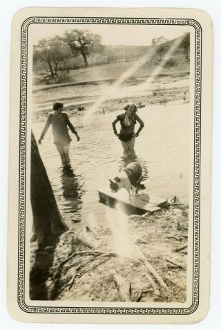 Boston Terrier Dog Watching Girls Cool Off In Water,  Vintage Photo 22328