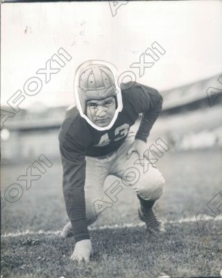 1929 Ohio State University Buckeyes Football Fullback Jospeh Ujhelyi Press Photo