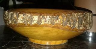 Vintage Ellwood Rusticware Nut Bowl Wood Tree Bark Mid Century 9 " Rustic