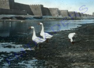 Glass Magic Lantern Slide China,  Fort Or Great Wall Bt River C1900 Hand Colored