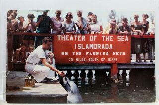Florida Fl Keys Islamorada Theater Of The Sea Postcard Old Vintage Card View Pc