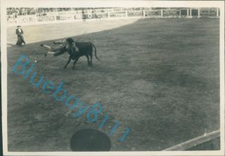 Photo Bull Fight La Linea De La Conception Spain 1930 3 x 2.  5 inches v1 3