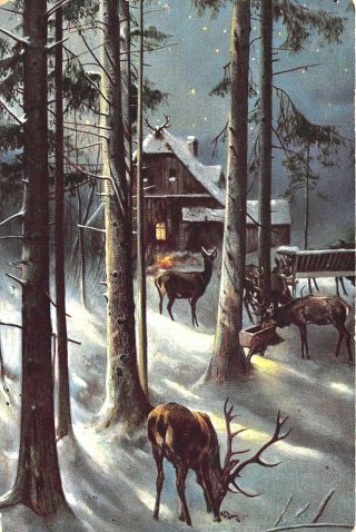Vtg 1908 Postcard Deer Buck Doe Country Cabin Snow Woods Night Lights Scene A50