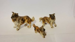 3 Vintage Miniature Bone China Collie Dogs Figurines Porcelain