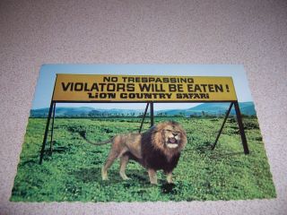 1970s Trespassers Will Be Eaten Sign Lion Country Safari California Vtg Postcard