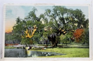 Louisiana La Orleans Audubon Park Washington Oak Postcard Old Vintage Card