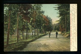 Pennsylvania Pa Postcard Williamsport,  Vallamont Drive Vintage 1907