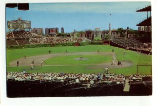 Chicago Cubs Game At Wrigley Field Vintage Baseball Postcard