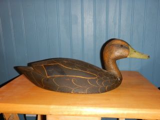 Vintage Black Duck Decoy By Cliff Avann