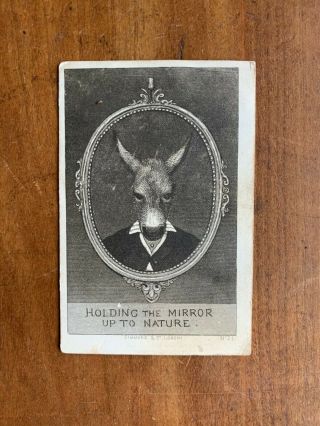 Cdv Album Joke Engraving Simmons & Co London 21 Face Of Donkey Ass 1860s ?