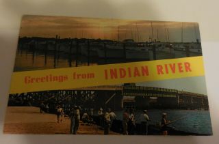 Vintage Greetings From Indian River Yacht Basin Postcard