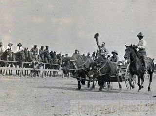 1910 Cheyenne Wyoming Frontier Days Rodeo Famous Trained Buffalo Team Ray Bell