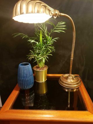 Brass Vintage Clam Shell Goose Neck Table Lamp