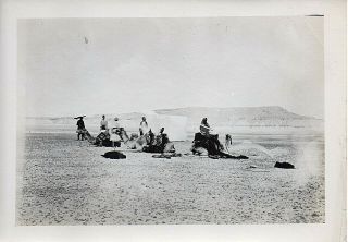 51710.  Vintage 1890 Platinotype Photo Gaza Barren Tent Camp With Camels 5 " X 7 "