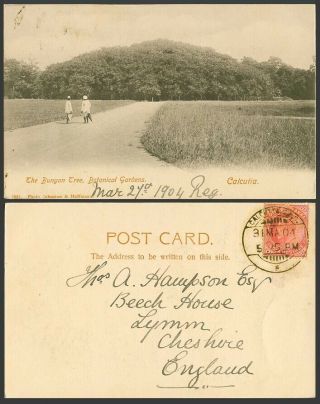 India Ke7 1a 1904 Old Postcard The Banyan Bunyan Tree Calcutta,  Botanical Garden