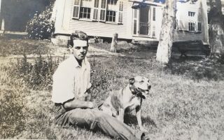 1918 Vtg Photo School Boy Poses With Beloved Family Dog Senior Pit Bull