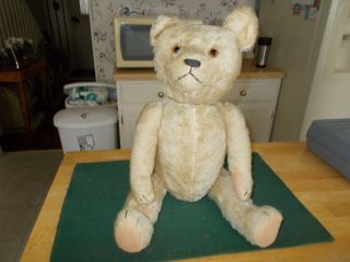 Early 1900s Large Sized Blonde Bear With Large Hump On Back Fully Jointed All Or