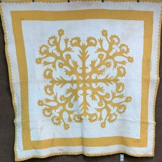 Rare C 1900s Yellow Applique Vintage Quilt Dogtooth Border