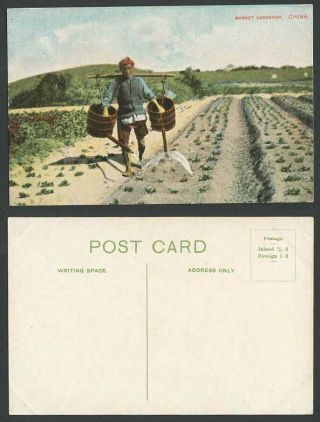 Hong Kong China Old Postcard Native Chinese Market Gardener Farmer,  Paddy Fields