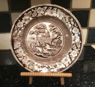 Antique Wedgewood Brown And White Transferware Plate 8 ",  Wild Rose Pattern