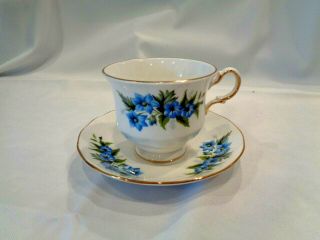 Queen Anne Bone China Blue Floral Tea Cup And Saucer Set Made In England