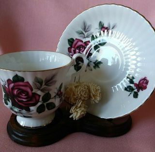 Vintage Royal Windsor Deep Red Roses Bone China Tea Cup & Saucer Set
