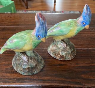 Antique Parrots Majolica Stoneware Art Pottery Hand Painted English