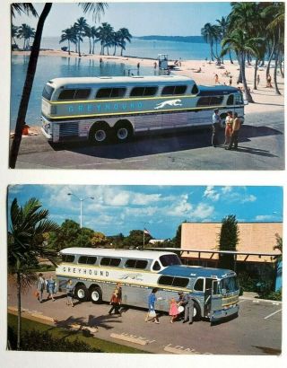 Vintage Greyhound Bus Lines Advertising Postcards Scenicruiser