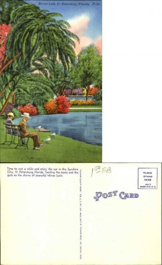 Mirror Lake St Petersburg Florida Fl Men On Bench Gull Old Postcard