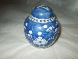 Antique Chinese Blue & White Porcelain Ginger Jar With Ginger Inside