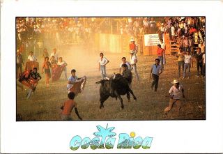 Angry Bull Fighting The Locals Of Costa Rica Vintage Postcard B1