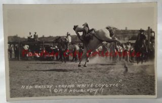 Vintage Postcard Rppc Real Photo Rodeo Ned Bailey White Coyote