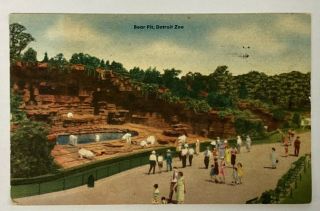 Mi Postcard A Scene At The Bear Pit - Detroit,  Michigan Zoo 1953 Vtg Linen E10