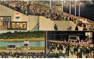 Vintage 1958 Postcard Sarasota Kennel Club Sarasota Florida