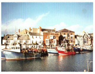 Weymouth Quay,  Dorset,  England Rare Vintage Picture Postcard