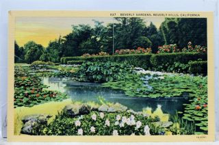 California Ca Beverly Hills Gardens Postcard Old Vintage Card View Standard Post