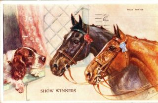 Vintage Horse & Dog Postcard,  " Polo Ponies " Art By Mabel Gear.  Cc3