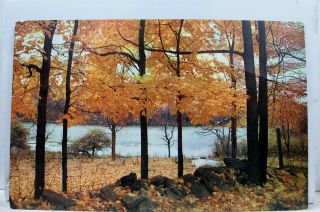 Pennsylvania Pa Pocono Mountains Vacationing Autumn Postcard Old Vintage Card Pc